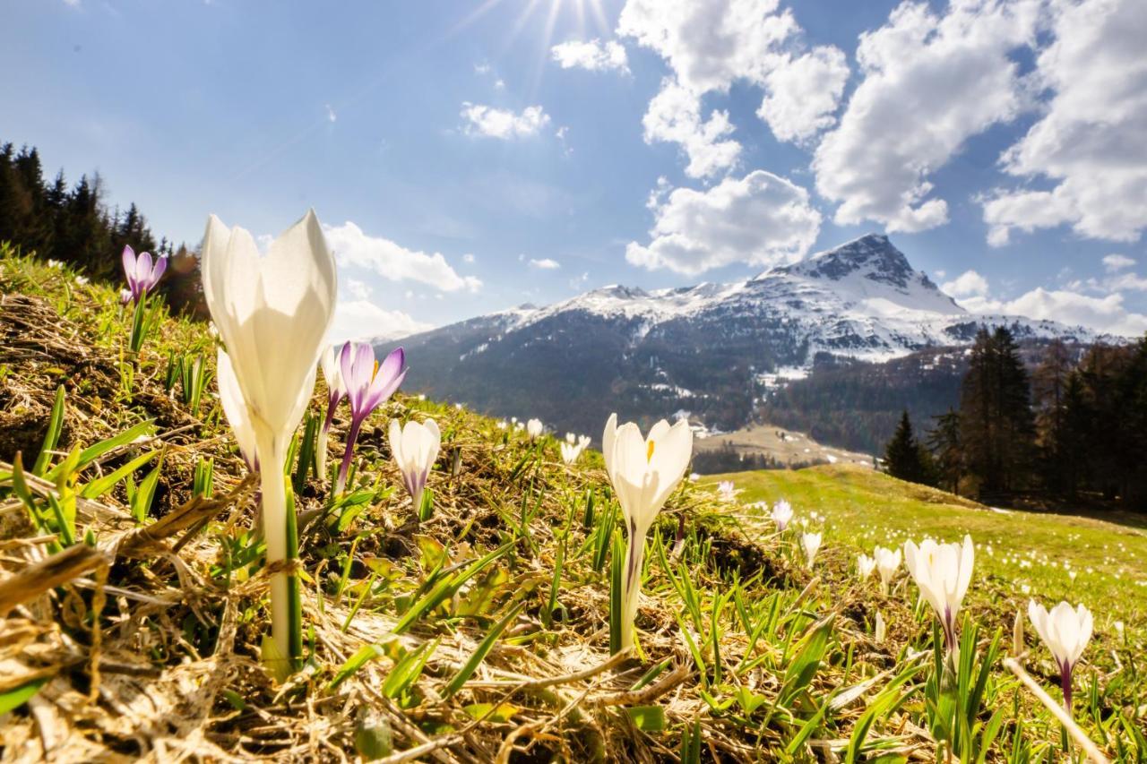 Apart Heimatliebe Hintertux Ngoại thất bức ảnh
